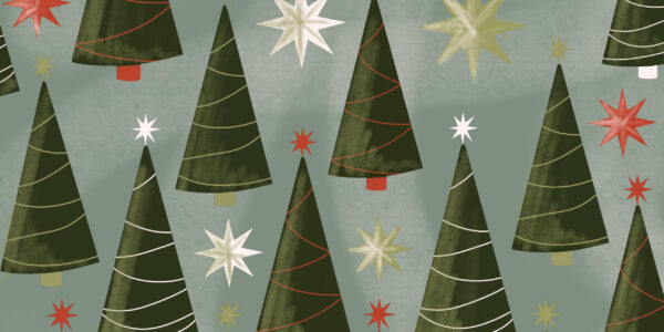 Schöne Weihnachten, besinnliche Feiertage und einen guten Start ins neue Jahr!