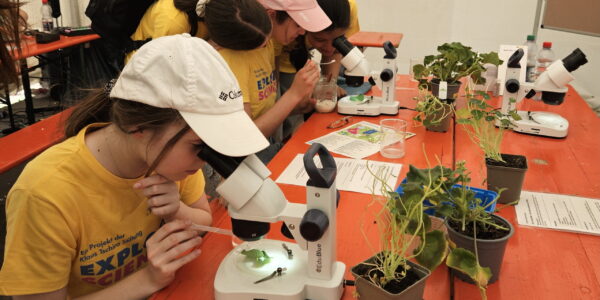 Explore Science Mannheim