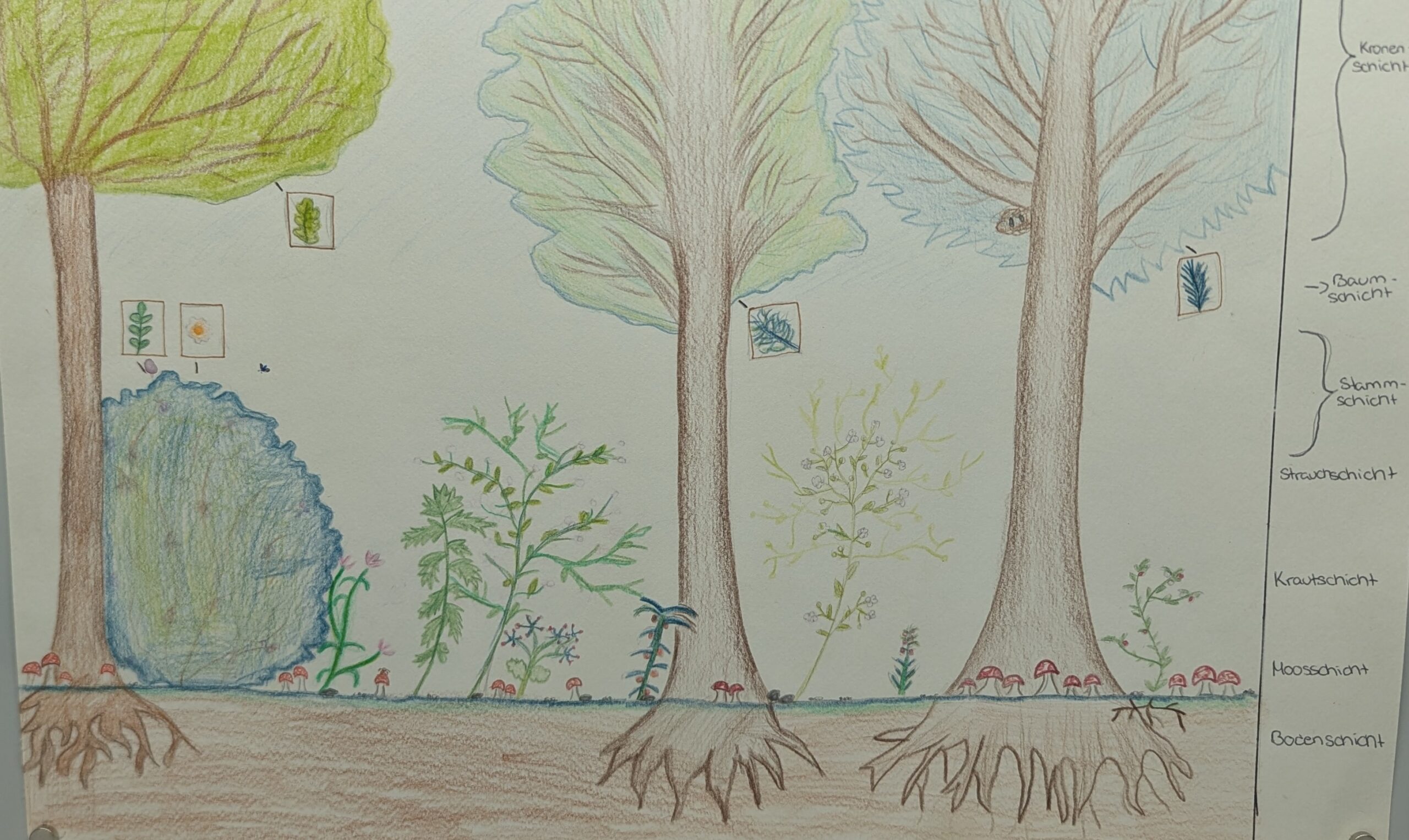 Du betrachtest gerade Der Wald als Kunstprojekt