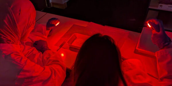 Fotografischer Prozess